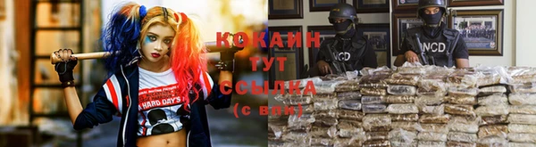 кокс Алексин