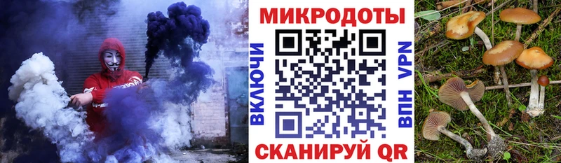 где продают наркотики  Торопец  Галлюциногенные грибы прущие грибы 